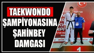 TAEKWONDO ŞAMPİYONASINA ŞAHİNBEY DAMGASI