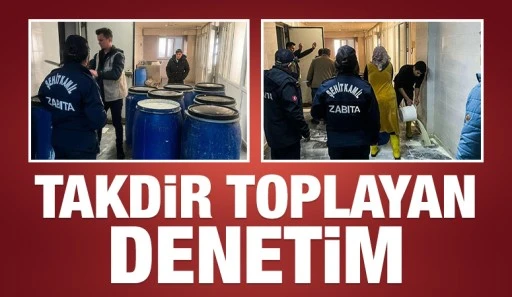 Takdir toplayan denetim