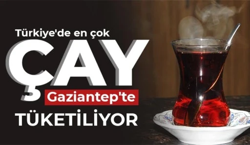 T&Uuml;RKİYE'DE EN &Ccedil;OK &Ccedil;AY GAZİANTEP'TE T&Uuml;KETİLİYOR
