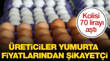 Üreticiler yumurta fiyatlarından şikayetçi