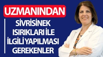 Uzmanından Sivrisinek Isırıkları ile İlgili Yapılması Gerekenle