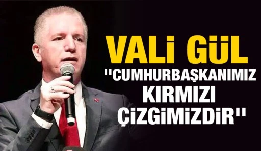 Vali Gül, ''Cumhurbaşkanımız kırmızı çizgimizdir''