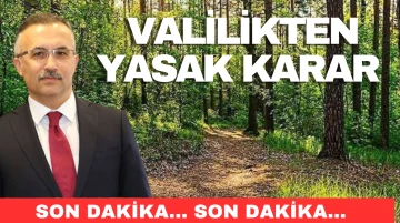 Valilikten yasak karar 