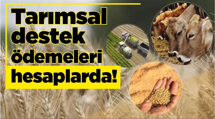 Tarımsal destek ödemeleri hesaplarda!