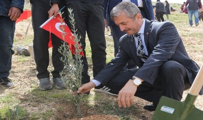 Şahinbey'den yeşil vatan için 27 bin ağaç desteği