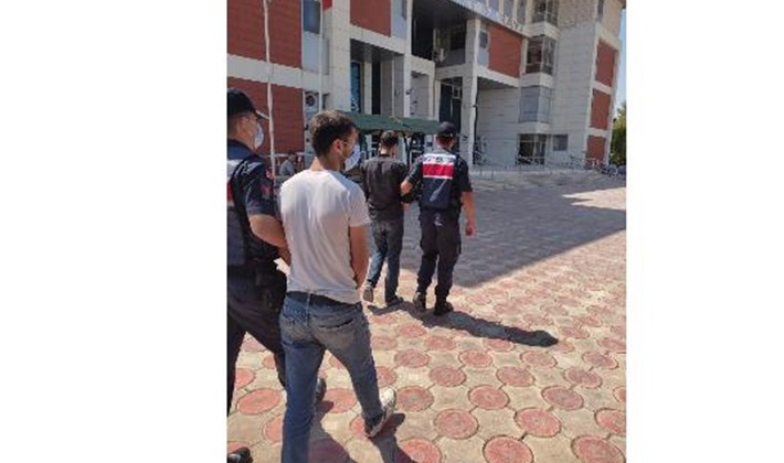 Antep fıstığı hırsızları tutuklandı