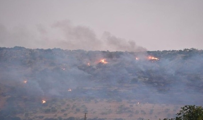 Gaziantep'te çıkan orman yangını kontrol altına alındı