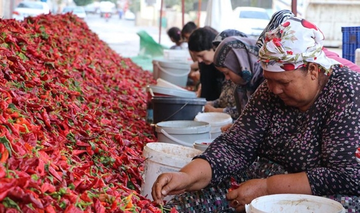 Kadınların 'en acı' mesaisi