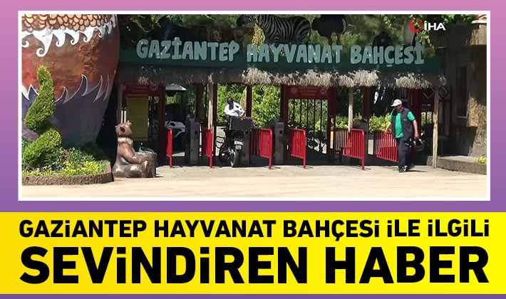 Gaziantep Hayvanat Bahçesi ile ilgili sevindiren haber