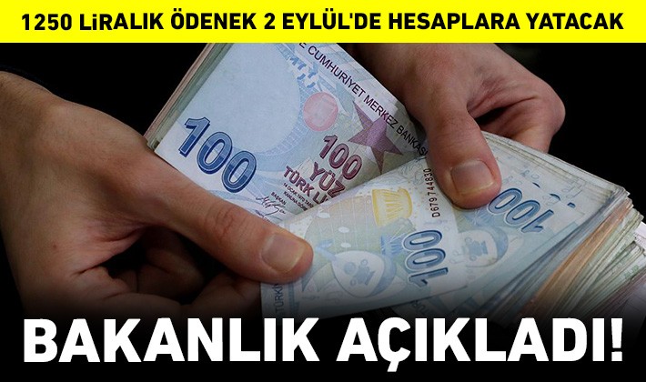 Bakanlık açıkladı! 1250 liralık ödenek 2 Eylül'de hesaplara yatacak