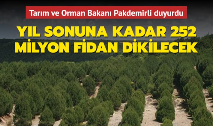 Yıl sonuna kadar 252 milyon fidan dikilecek