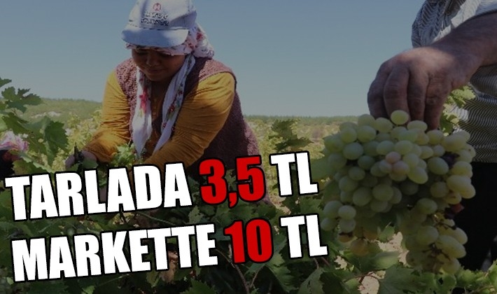 Tarlada 3,5, markette 10 TL