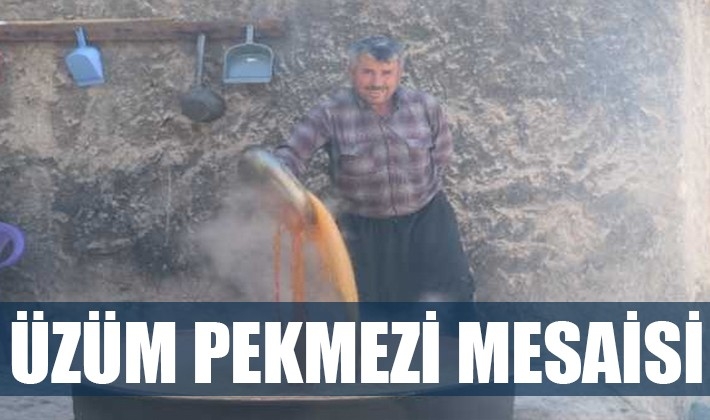 Üzüm pekmezi mesaisi