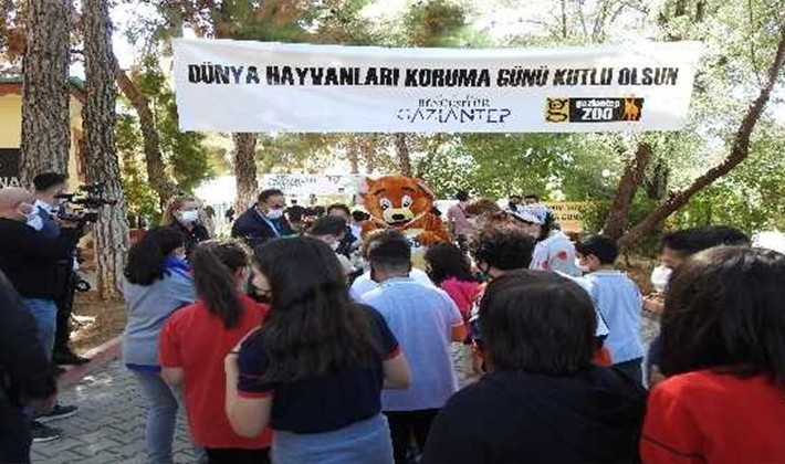 Öğrenciler tedavi gören hayvanları besledi