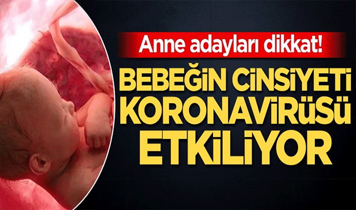 Anne adayları dikkat! Bebeğin cinsiyeti koronavirüsü etkiliyor