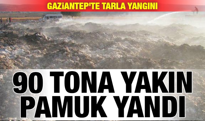 Gaziantep'te tarla yangını: 90 tona yakın pamuk yandı