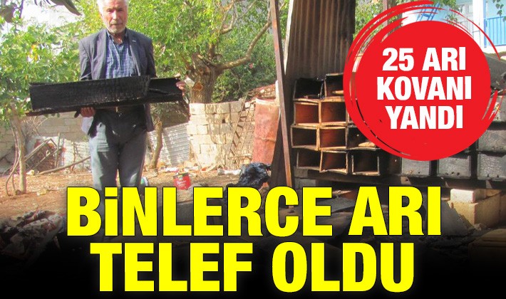 25 arı kovanı yandı, binlerce arı telef oldu