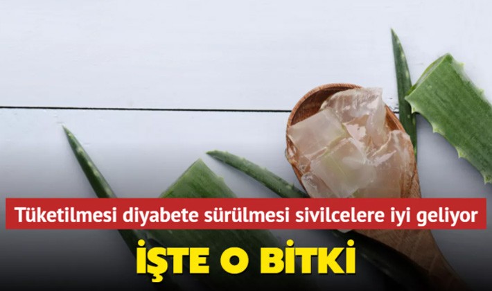 Tüketilmesi diyabete sürülmesi sivilcelere iyi geliyor