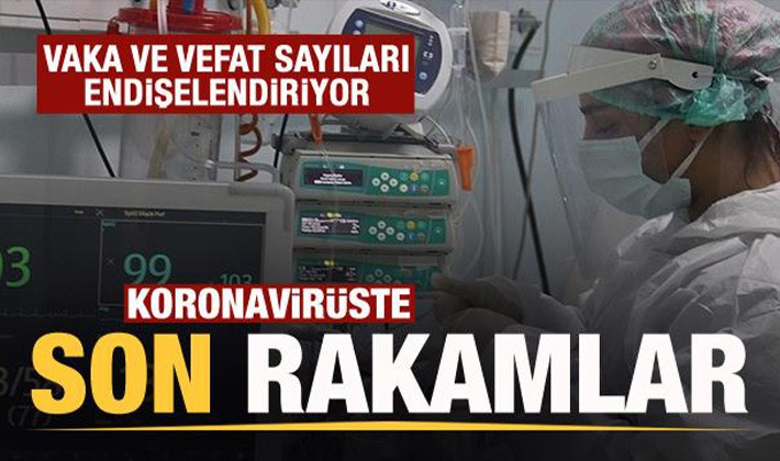 25 Kasım koronavirüs tablosu açıklandı!