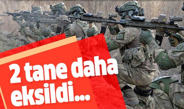 İçişleri Bakanlığı: 2 örgüt mensubu ikna yoluyla teslim oldu