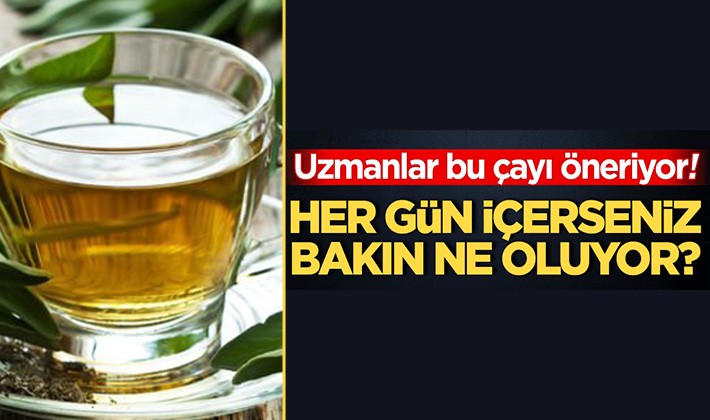 Hafızayı 10 yaş gençleştiriyor! Bu bitki çayını her gün için