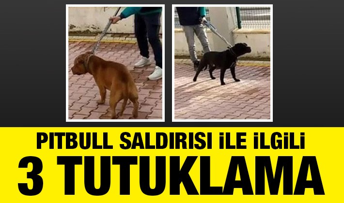 Pitbull saldırısı ile ilgili 3 tutuklama