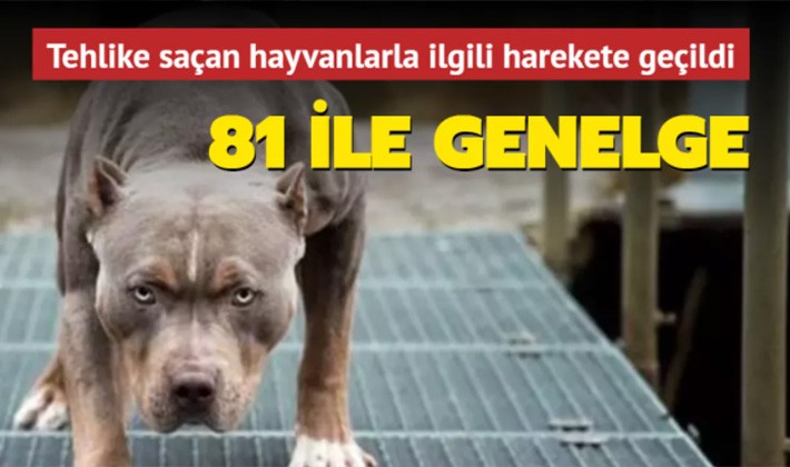 Bakanlıktan 81 ile genelge