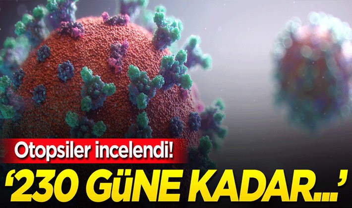 Otopsiler incelendi! '230 güne kadar...'