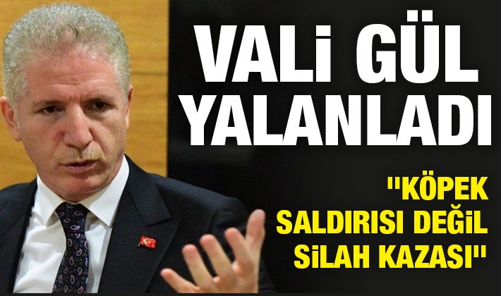 Vali Gül yalanladı: Köpek saldırısı değil, silah kazası