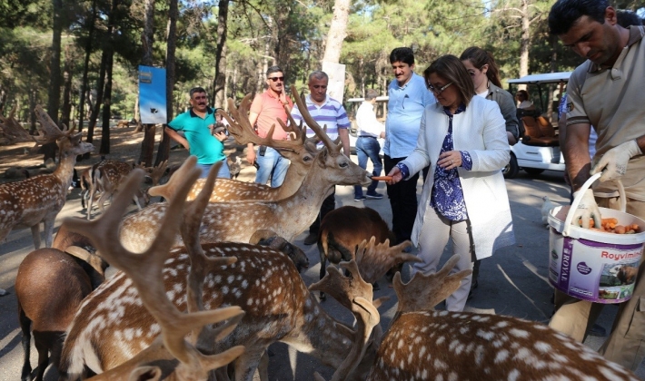 HAYVANAT BAHÇESİ, KADINLAR VE ÇOCUKLARA ÜCRETSİZ OLACAK