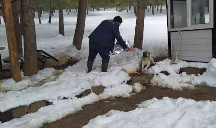 Karakışta sokak hayvanları unutulmadı