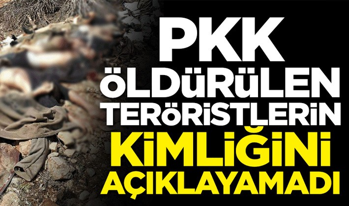 PKK öldürülen teröristlerin kimliğini açıklayamadı