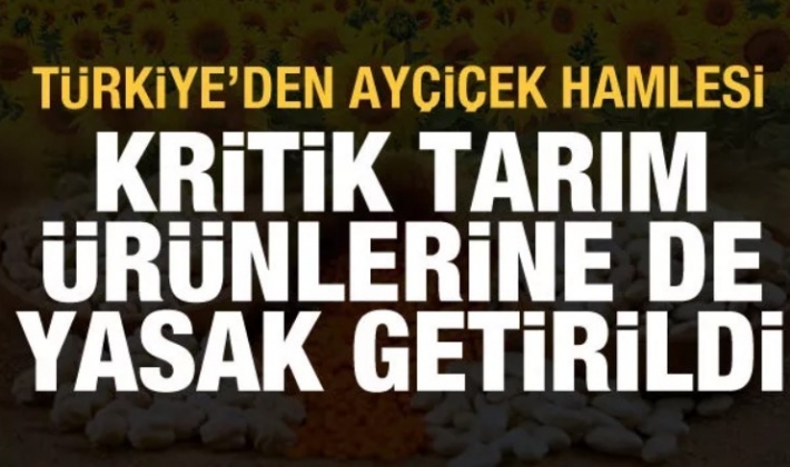 Türkiye'den ayçiçek hamlesi