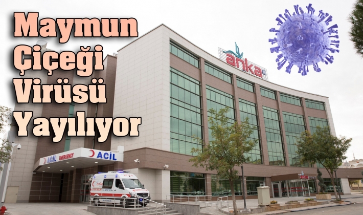 Maymun Çiçeği Virüsü Yayılıyor