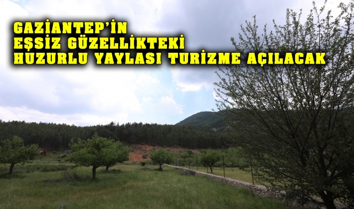 GAZİANTEP’İN EŞSİZ GÜZELLİKTEKİ HUZURLU YAYLASI TURİZME AÇILACAK