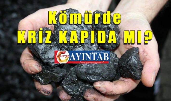 İthal kömürün tonu 5 bin 500 TL oldu! Kömürde kriz kapıda mı?