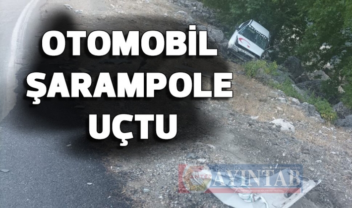 Kahramanmaraş 'ta Otomobil şarampole uçtu