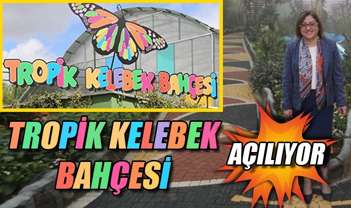 TROPİK KELEBEK BAHÇESİ AÇILIYOR