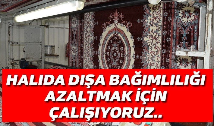 Halıda dışa bağımlılığı azaltmak için çalışıyoruz..