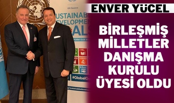 Enver Yücel, Birleşmiş Milletler Danışma Kurulu Üyesi oldu