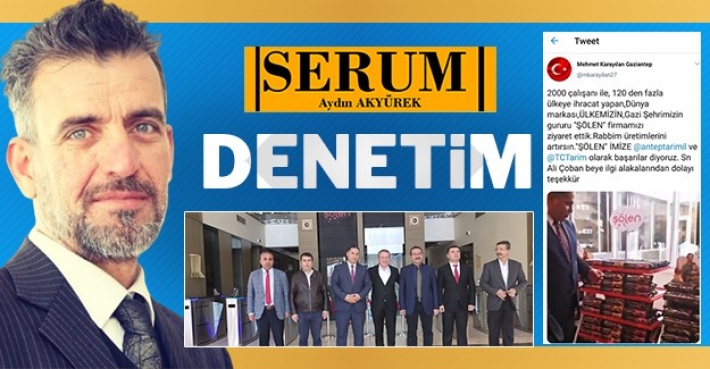 DENETİM