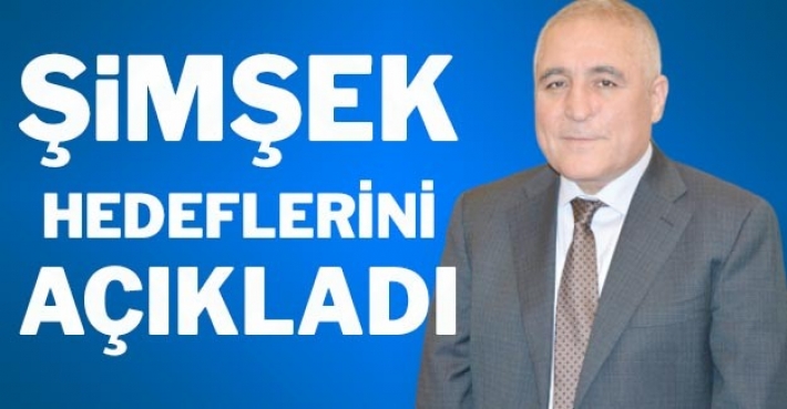 ŞİMŞEK HEDEFLERİNİ AÇIKLADI