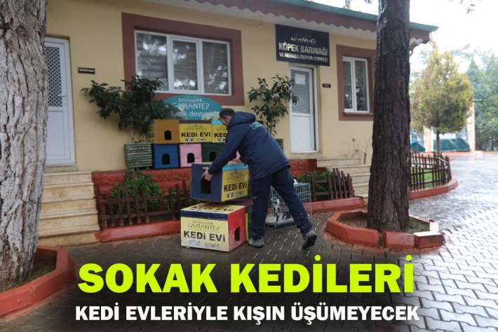 SOKAK KEDİLERİ KEDİ EVLERİYLE KIŞIN ÜŞÜMEYECEK