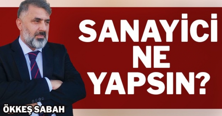 SANAYİCİ NE YAPSIN?