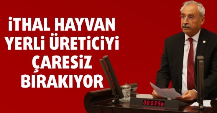 İTHAL HAYVAN YERLİ ÜRETİCİYİ ÇARESİZ BIRAKIYOR