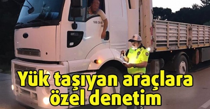 Yük taşıyan araçlara özel denetim