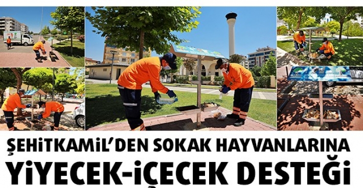 ŞEHİTKAMİL’DEN SOKAK HAYVANLARINA YİYECEK-İÇECEK DESTEĞİ