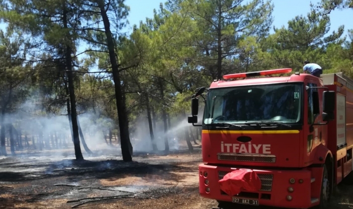 BURÇ ORMANI’NDAKİ YANGIN ERKEN MÜDAHALE İLE SÖNDÜRÜLDÜ