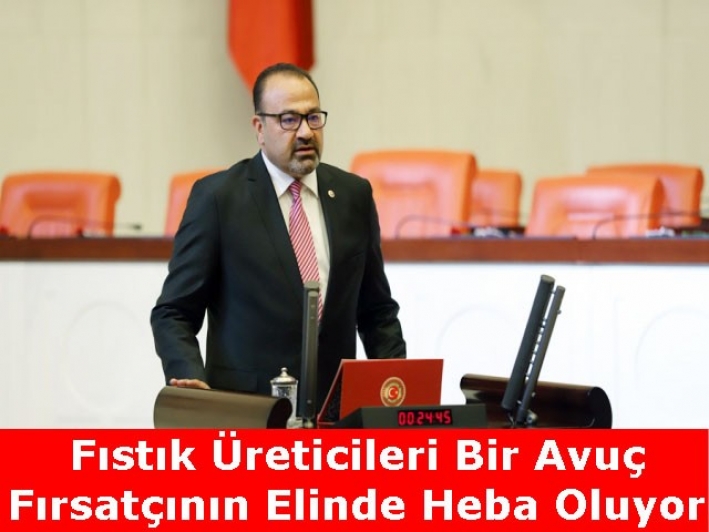 Fıstık Üreticileri Bir Avuç Fırsatçının Elinde Heba Oluyor!