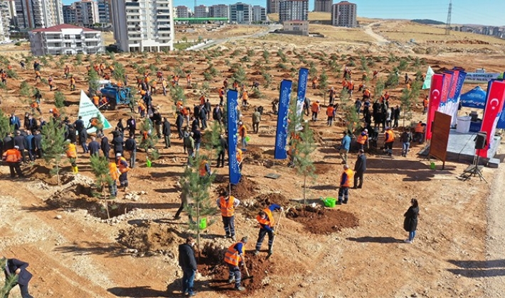 BÜYÜKŞEHİR GAZİANTEP’İ AĞAÇLANDIRIYOR